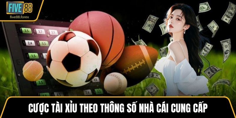 Cược tài xỉu theo thông số nhà cái cung cấp